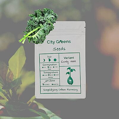 Seeds - Exotic Greens- Kale /100 Seeds