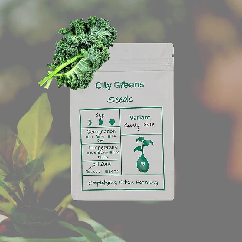 Seeds - Exotic Greens- Kale /100 Seeds