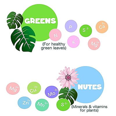 Greens Combo Pack Greens Combo Pack