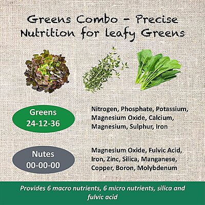 Greens Combo Pack Greens Combo Pack