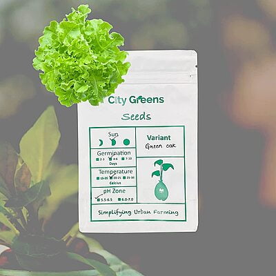 Seeds - Lettuce Variants - Green Oak Seeds - Lettuce Variants - Green Oak