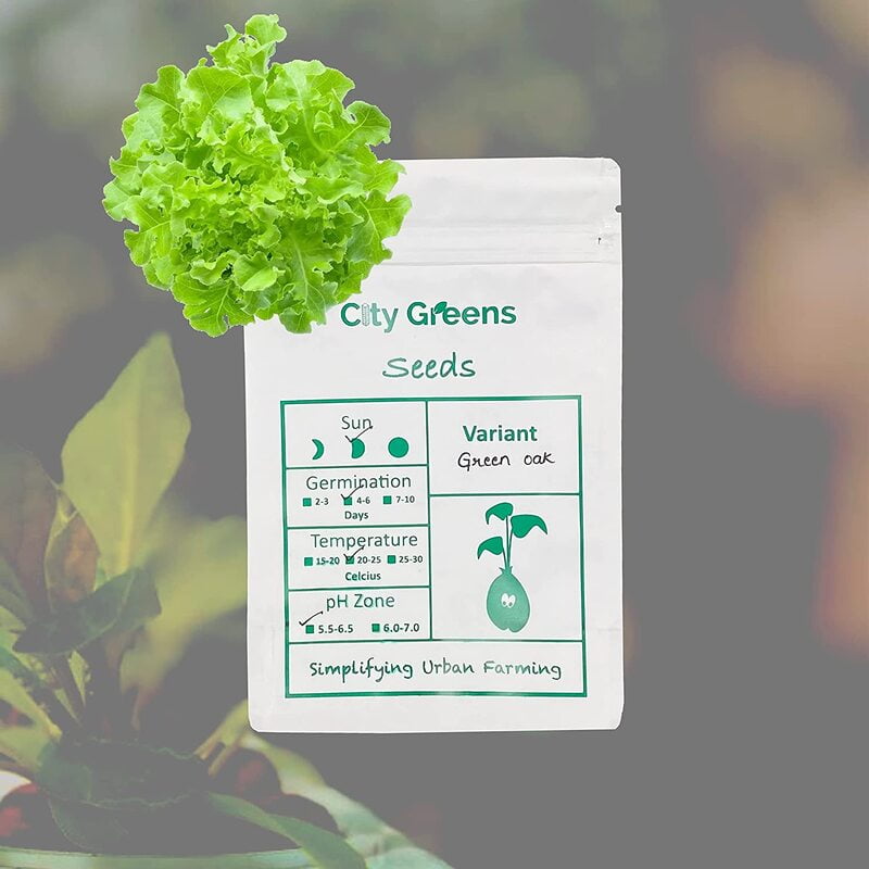 Seeds - Lettuce Variants - Green Oak Seeds - Lettuce Variants - Green Oak
