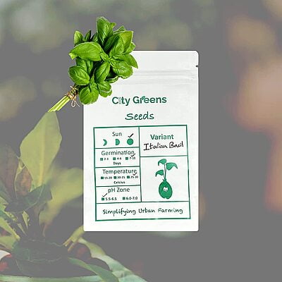 Seeds - Herbs - Italian Basil /0.5 grams