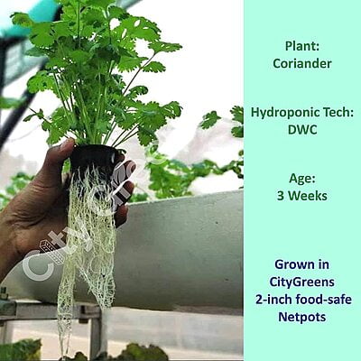 Net-Pots (2 inch and 3 inch)