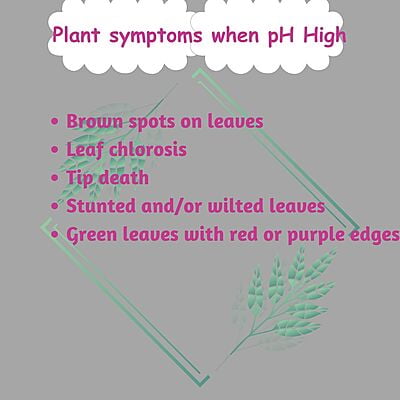 pH Up & Down Solution 300ml