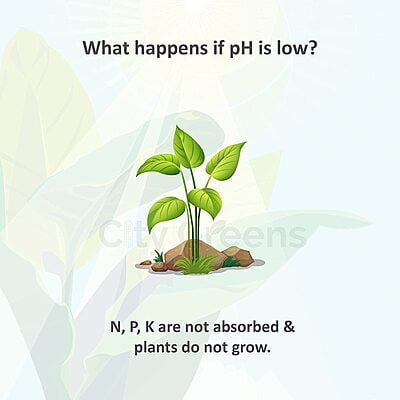 pH Down 1 Liter pH Down 1 Liter