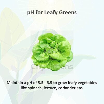 pH Up 1000 ml pH Up 1000 ml
