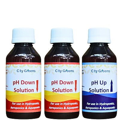 pH Up & Down Solution 300ml