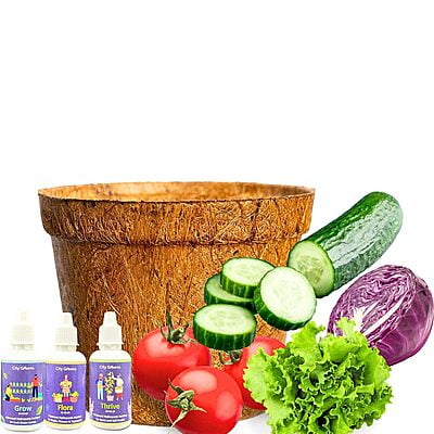 Sow & Grow 4 in 1 Salad Gardening Kit - Lettuce, Cherry Tomatoes, Red Cabbage, Cucumber