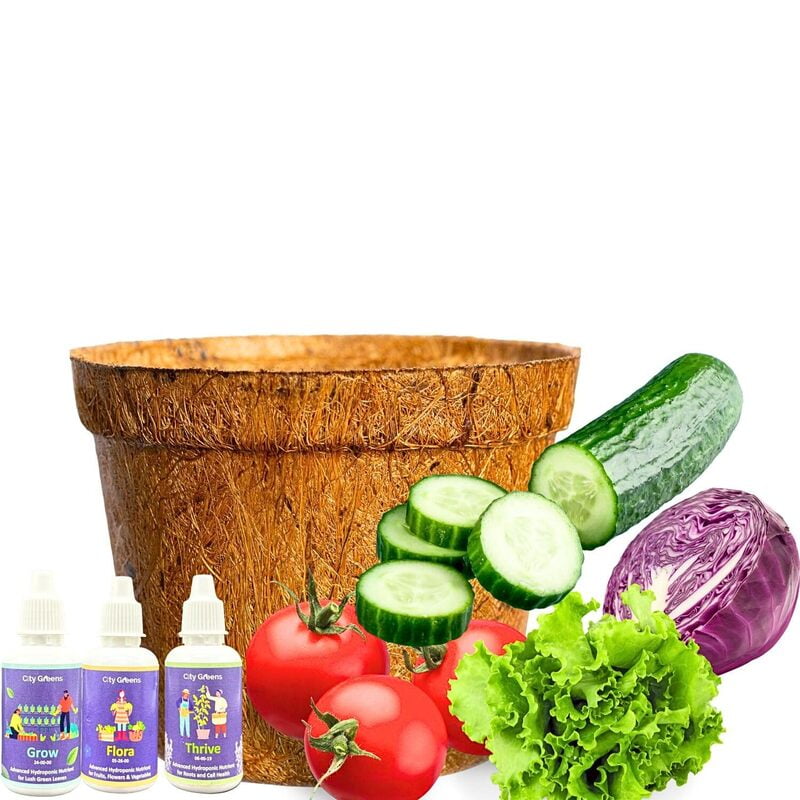 Sow & Grow 4 in 1 Salad Gardening Kit - Lettuce, Cherry Tomatoes, Red Cabbage, Cucumber Sow & Grow 4 in 1 Salad Gardening Kit - Lettuce, Cherry Tomatoes, Red Cabbage, Cucumber