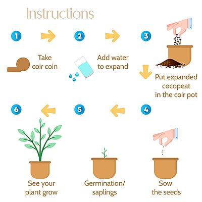 Sow & Grow 4 in 1 Salad Gardening Kit - Lettuce, Cherry Tomatoes, Red Cabbage, Cucumber Sow & Grow 4 in 1 Salad Gardening Kit - Lettuce, Cherry Tomatoes, Red Cabbage, Cucumber