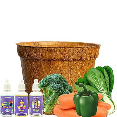 4 in 1 Stir Fry Gardening Kit   Broccoli  Bokchoi  Carrot  Capsicum Seeds