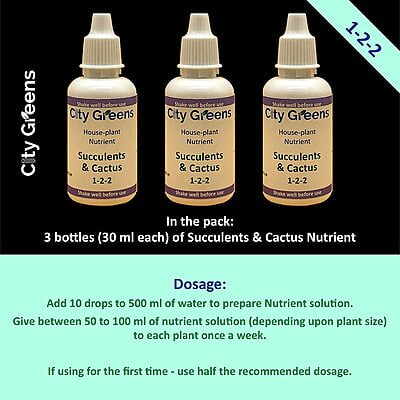 Succulents & Cactus Food - 30ml Bottle - Pack of 3