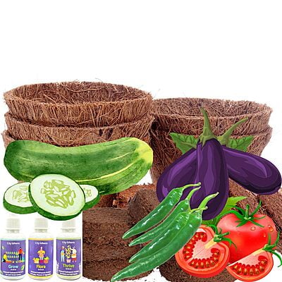 Coir Pot Kit - 4 inch 5 Planter Set